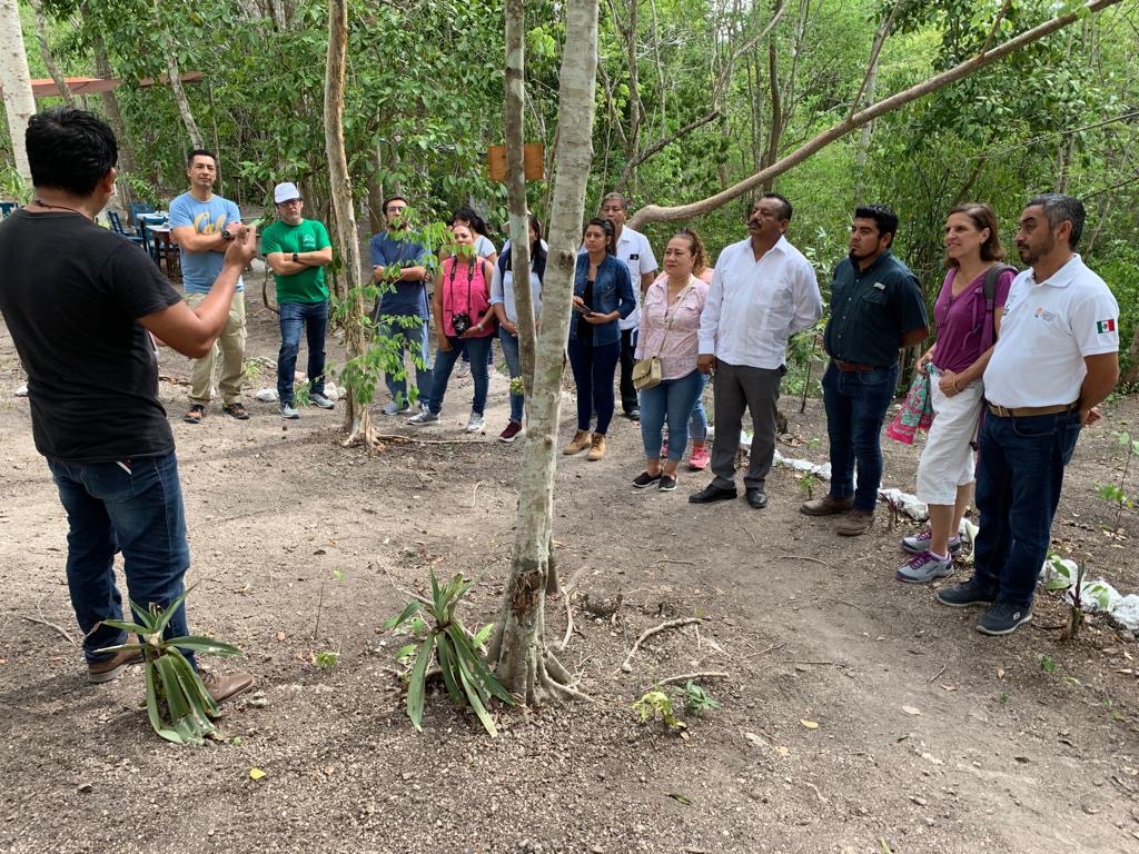 Asesoramiento en proyectos comunitarios.